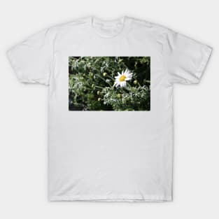 Large Daisy T-Shirt